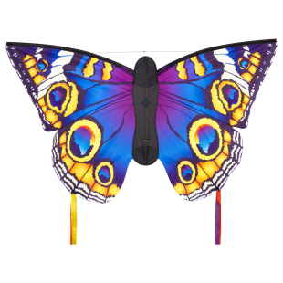 Drachen Butterfly Buckeye L