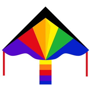 Drachen Simple Flyer Rainbow
