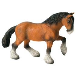 Shire Horse Wallach