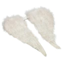 Ailes en plumes blanches