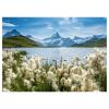 Puzzle Bachalpsee Grindelwald