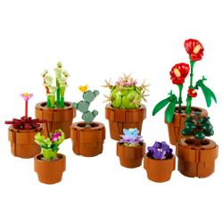 Les plantes miniatures