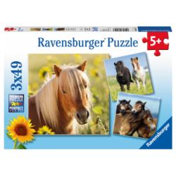 Puzzle Adorables poneys