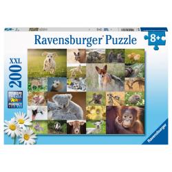 Puzzle Adorables bbs animaux