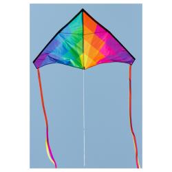 Cerf-volant Delta Rainbow
