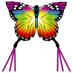 Cerf-volant Butterfly Rainbow