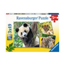 Puzzle Panda, Tiger und Lwe