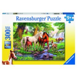 Puzzle Wildpferde am Fluss