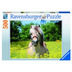 Puzzle Pferd im Rapsfeld