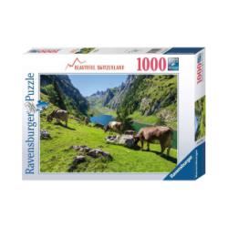 Puzzle Flensee