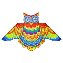 Drachen Jazzy Owl Kite