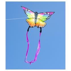 Drachen Butterfly Rainbow Kite